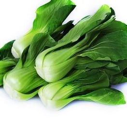 中贸批发市场蔬菜区 一站式采购全县最低价，基地直供绿色健康农副产品