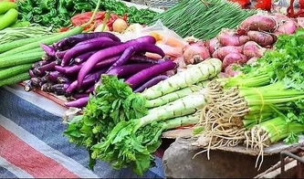 淄博气温降菜价涨 来看看，你的菜篮子沉了多少