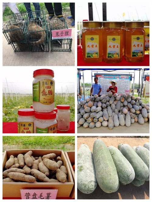 决胜2019 牙叉镇农副产品展销会人气旺盛，销售额突破6.1万元