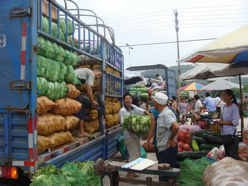 犍为南城农副产品批发市场正式投入运营 畅通城乡“菜篮子”供应链