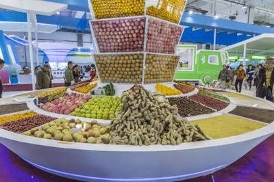 种在朋友圈的农产品，谁来负责？——透视农副产品社交电商的责任边界