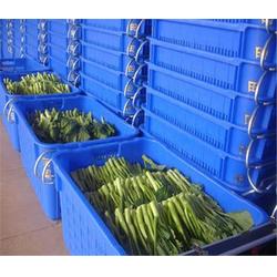 农副产品诚信企业精选 品质与信誉的标杆